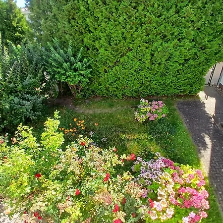 Apartament Ingrid Bauer 1 *